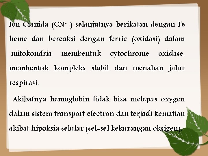 Ion Cianida (CN- ) selanjutnya berikatan dengan Fe heme dan bereaksi dengan ferric (oxidasi)