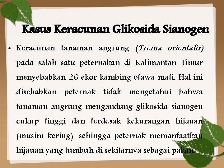 Kasus Keracunan Glikosida Sianogen • Keracunan tanaman angrung (Trema orientalis) pada salah satu peternakan