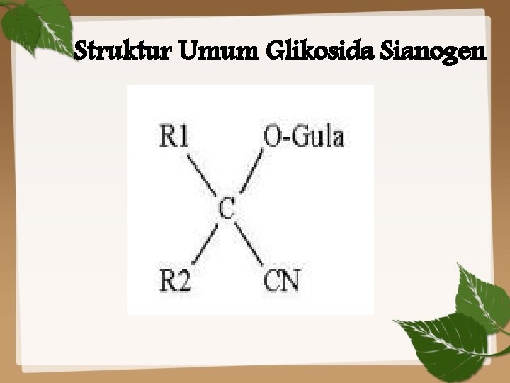 Struktur Umum Glikosida Sianogen 