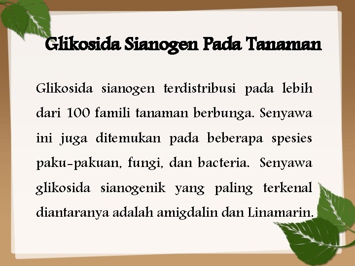 Glikosida Sianogen Pada Tanaman Glikosida sianogen terdistribusi pada lebih dari 100 famili tanaman berbunga.