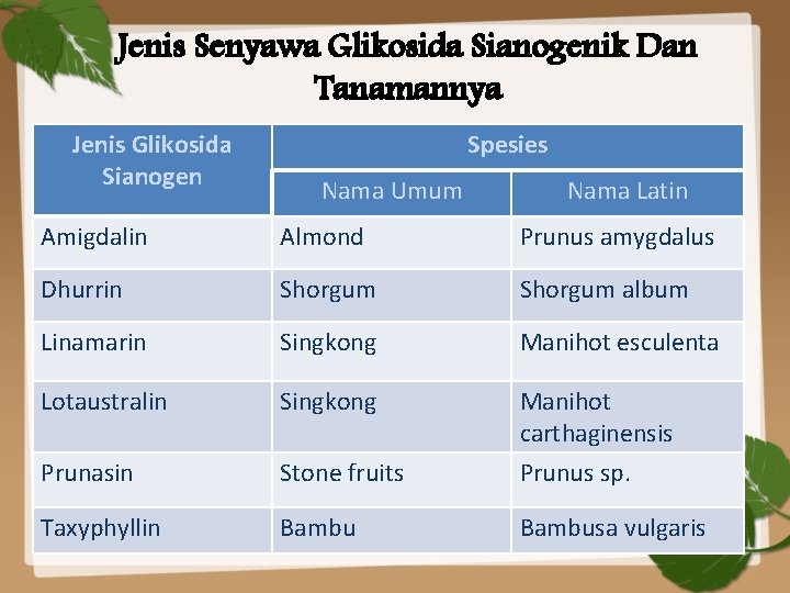 Jenis Senyawa Glikosida Sianogenik Dan Tanamannya Jenis Glikosida Sianogen Spesies Nama Umum Nama Latin