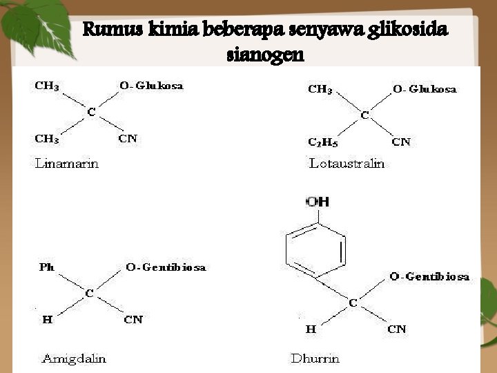 Rumus kimia beberapa senyawa glikosida sianogen 