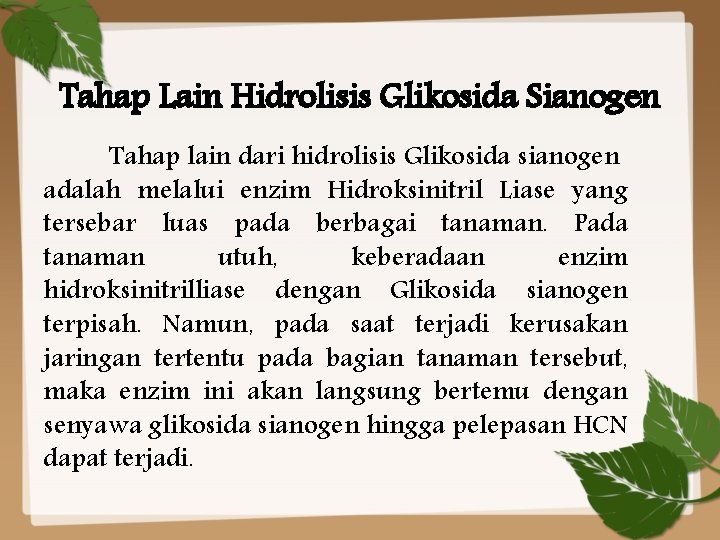Tahap Lain Hidrolisis Glikosida Sianogen Tahap lain dari hidrolisis Glikosida sianogen adalah melalui enzim