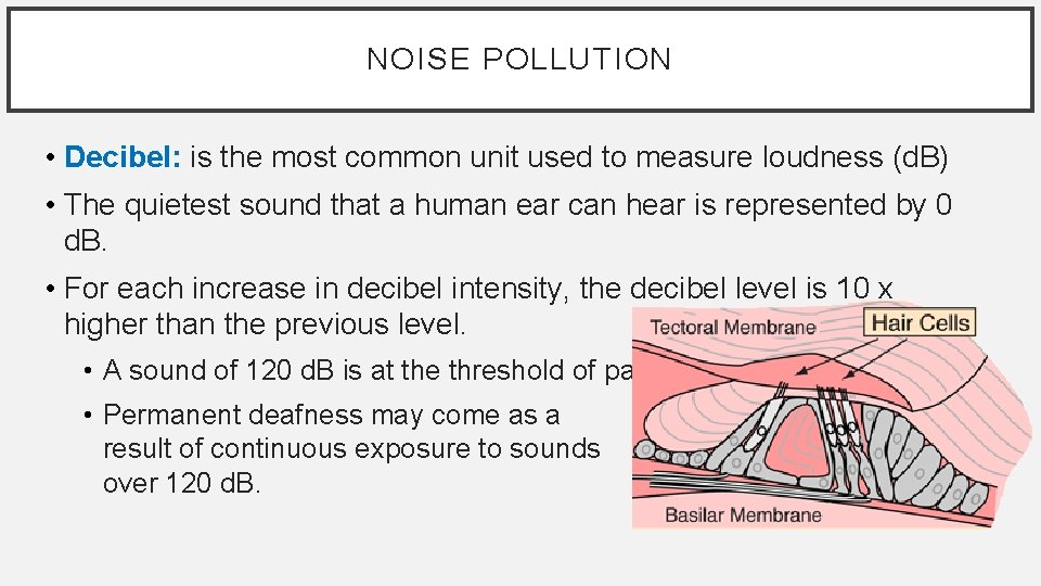 NOISE POLLUTION • Decibel: is the most common unit used to measure loudness (d.