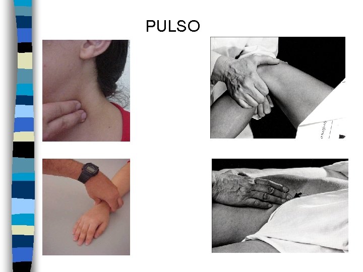 PULSO 