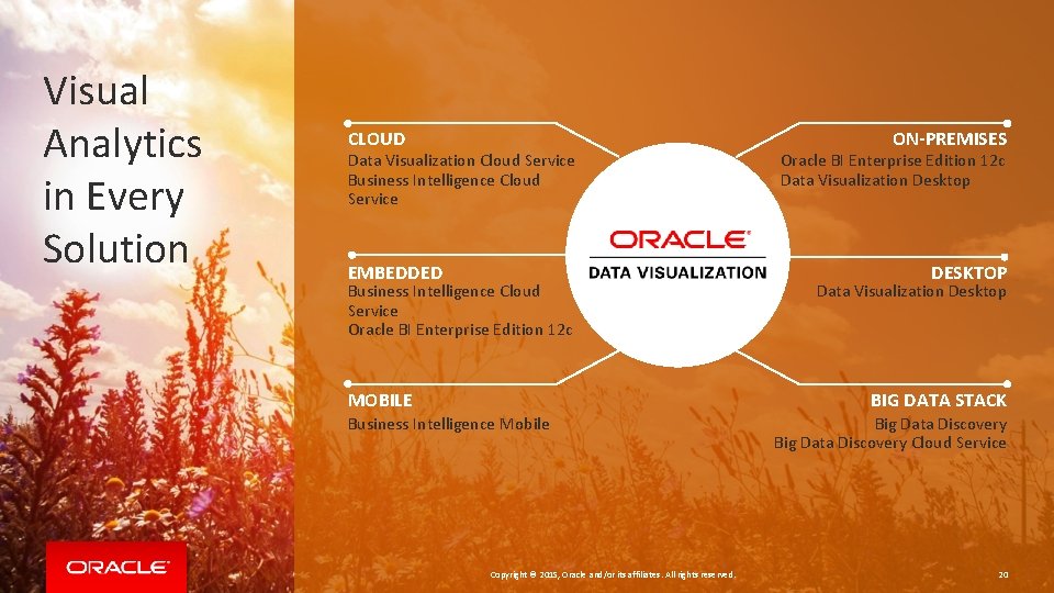 Visual Analytics in Every Solution CLOUD Data Visualization Cloud Service Business Intelligence Cloud Service