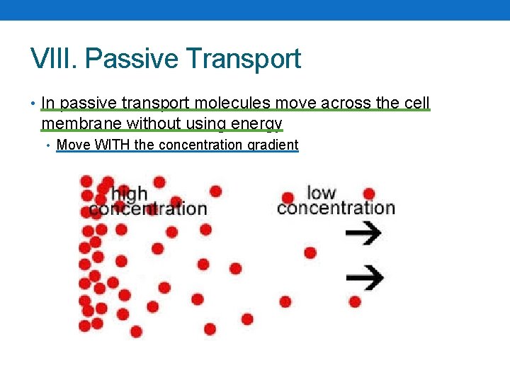 VIII. Passive Transport • In passive transport molecules move across the cell membrane without