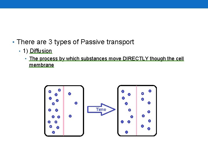  • There are 3 types of Passive transport • 1) Diffusion • The