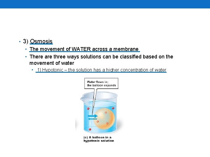  • 3) Osmosis • The movement of WATER across a membrane • There