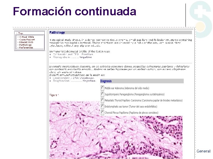 Formación continuada 