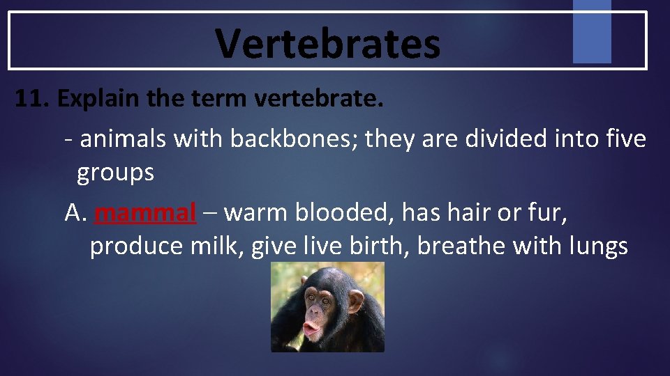 Vertebrates 11. Explain the term vertebrate. - animals with backbones; they are divided into Vertebrates 11. Explain the term vertebrate. - animals with backbones; they are divided into