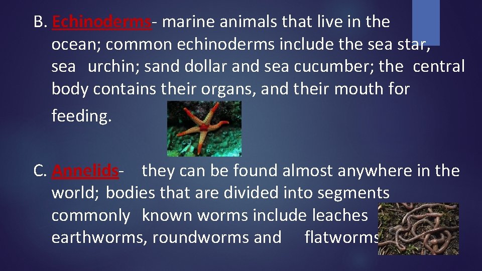 B. Echinoderms- marine animals that live in the ocean; common echinoderms include the sea B. Echinoderms- marine animals that live in the ocean; common echinoderms include the sea