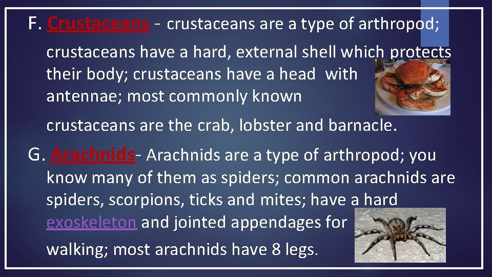 F. Crustaceans - crustaceans are a type of arthropod; crustaceans have a hard, external F. Crustaceans - crustaceans are a type of arthropod; crustaceans have a hard, external