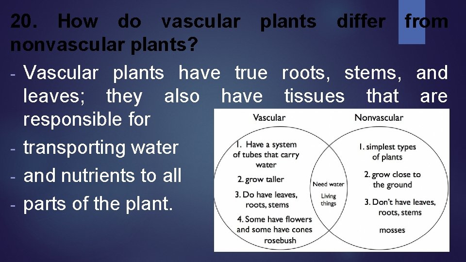 20. How do vascular plants differ from nonvascular plants? - Vascular plants have true 20. How do vascular plants differ from nonvascular plants? - Vascular plants have true