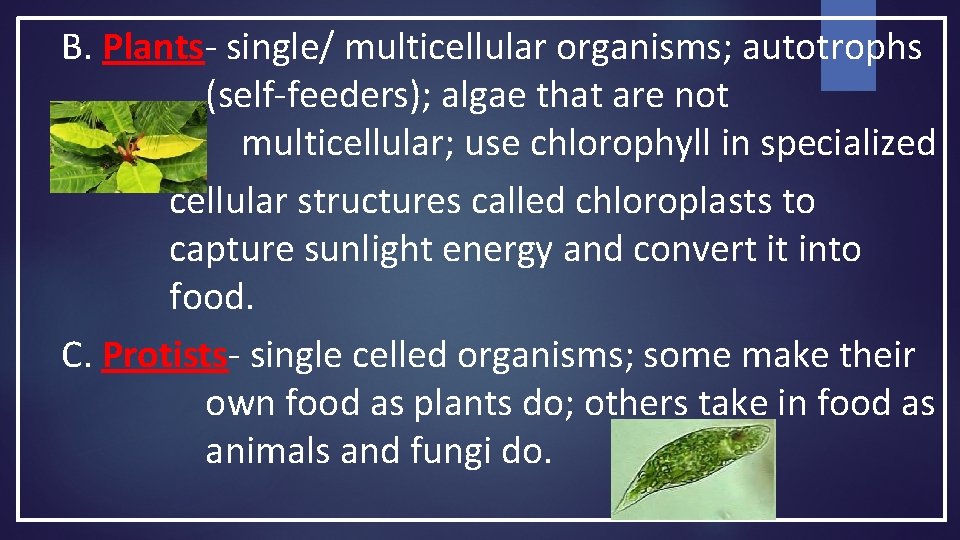B. Plants- single/ multicellular organisms; autotrophs (self-feeders); algae that are not multicellular; use chlorophyll B. Plants- single/ multicellular organisms; autotrophs (self-feeders); algae that are not multicellular; use chlorophyll
