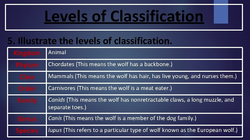 Levels of Classification 5. Illustrate the levels of classification. Kingdom Phylum Animal Chordates (This Levels of Classification 5. Illustrate the levels of classification. Kingdom Phylum Animal Chordates (This