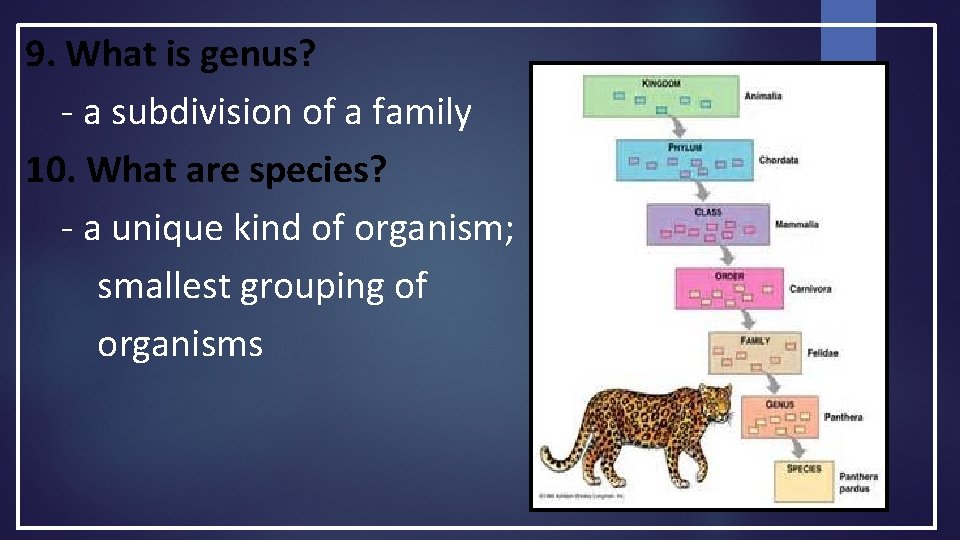 9. What is genus? - a subdivision of a family 10. What are species? 9. What is genus? - a subdivision of a family 10. What are species?