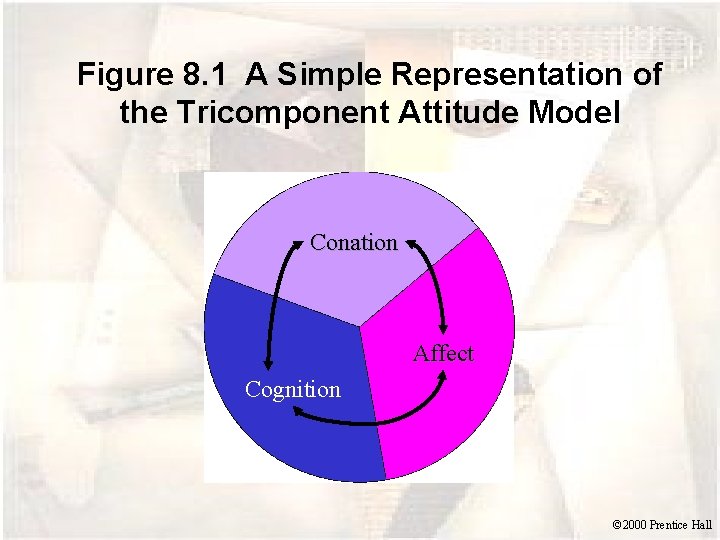 Figure 8. 1 A Simple Representation of the Tricomponent Attitude Model Conation Affect Cognition