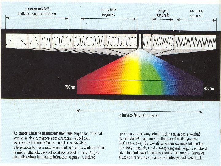 Látható spektrum