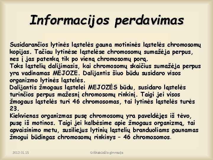 Informacijos perdavimas Susidarančios lytinės ląstelės gauna motininės ląstelės chromosomų kopijas. Tačiau lytinėse ląstelėse chromosomų