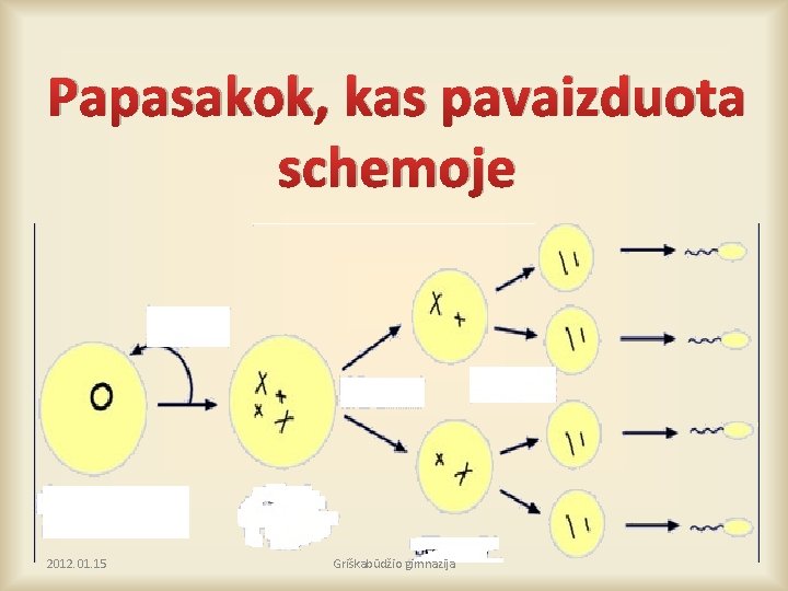 Papasakok, kas pavaizduota schemoje 2012. 01. 15 Griškabūdžio gimnazija 