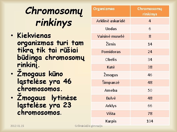 Chromosomų rinkinys • Kiekvienas organizmas turi tam tikrą tik tai rūšiai būdinga chromosomų rinkinį.