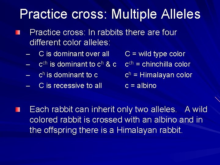 Practice cross: Multiple Alleles Practice cross: In rabbits there are four different color alleles: