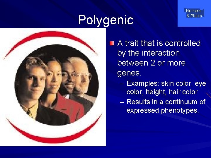 Polygenic Humans & Plants A trait that is controlled by the interaction between 2