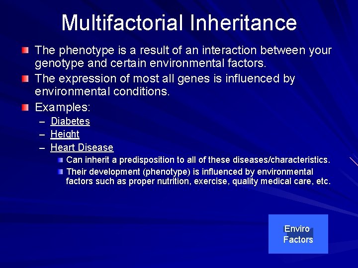 Multifactorial Inheritance The phenotype is a result of an interaction between your genotype and