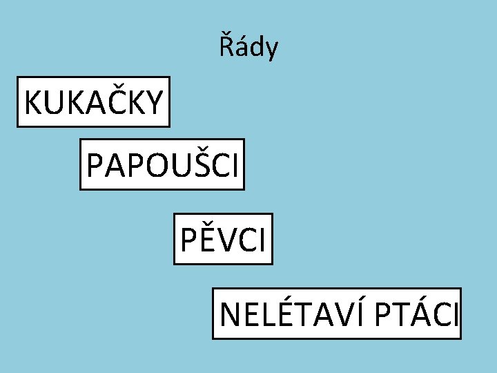 Řády KUKAČKY PAPOUŠCI PĚVCI NELÉTAVÍ PTÁCI Řády KUKAČKY PAPOUŠCI PĚVCI NELÉTAVÍ PTÁCI