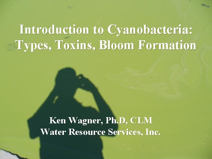 Introduction to Cyanobacteria: Types, Toxins, Bloom Formation Ken Wagner, Ph. D, CLM Water Resource