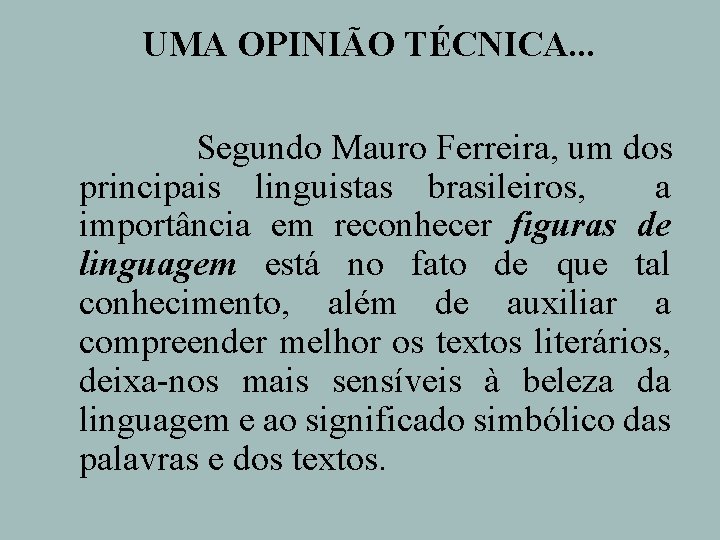 UMA OPINIÃO TÉCNICA. . . Segundo Mauro Ferreira, um dos principais linguistas brasileiros, a