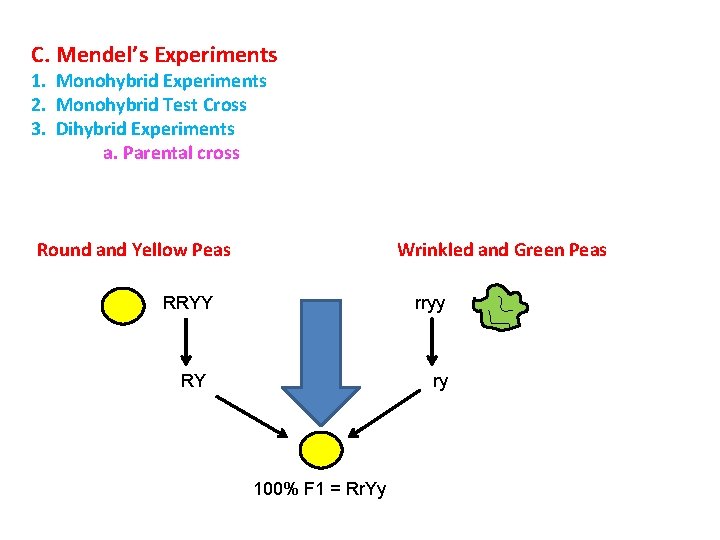 C. Mendel’s Experiments 1. Monohybrid Experiments 2. Monohybrid Test Cross 3. Dihybrid Experiments a.