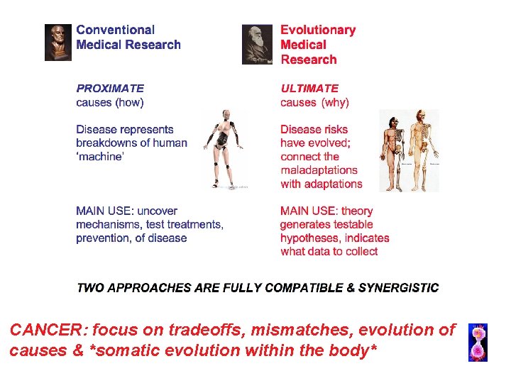 CANCER: focus on tradeoffs, mismatches, evolution of causes & *somatic evolution within the body*
