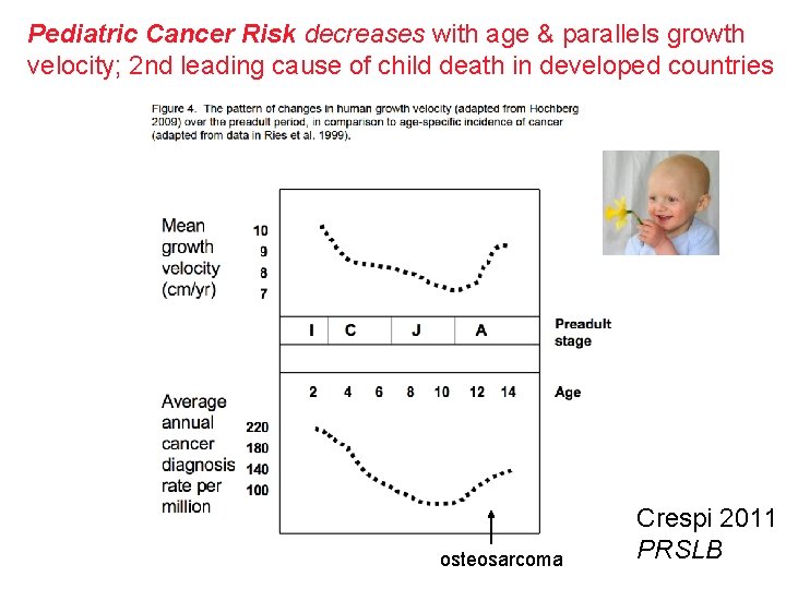 Pediatric Cancer Risk decreases with age & parallels growth velocity; 2 nd leading cause