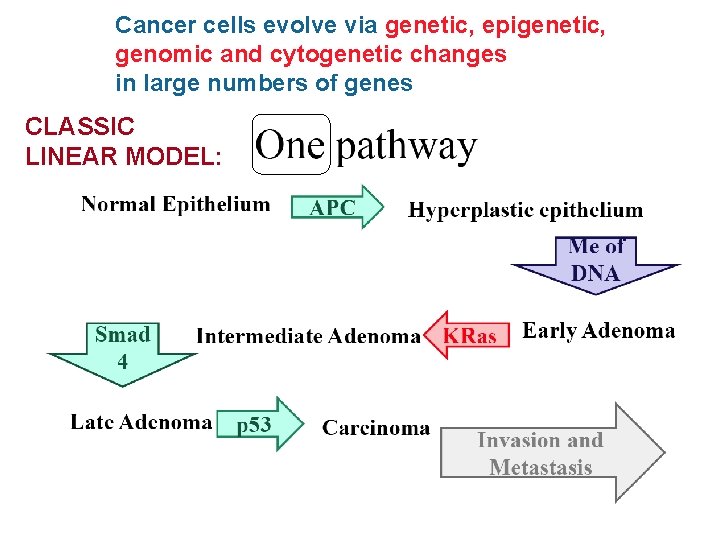 Cancer cells evolve via genetic, epigenetic, genomic and cytogenetic changes in large numbers of