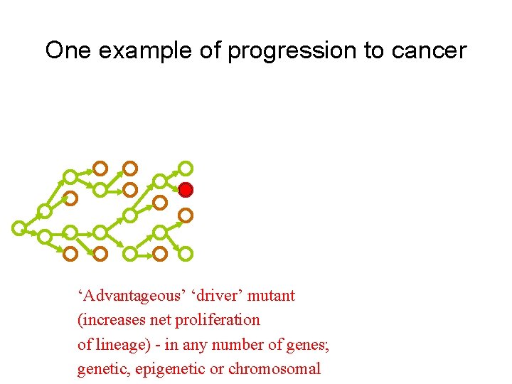 One example of progression to cancer ‘Advantageous’ ‘driver’ mutant (increases net proliferation of lineage)