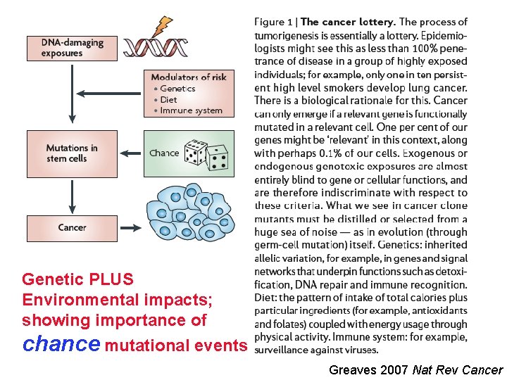 Genetic PLUS Environmental impacts; showing importance of chance mutational events Greaves 2007 Nat Rev