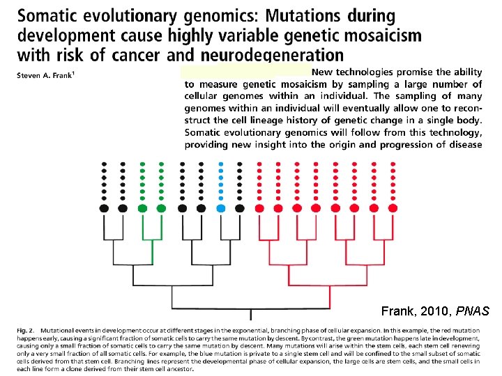 Frank, 2010, PNAS 