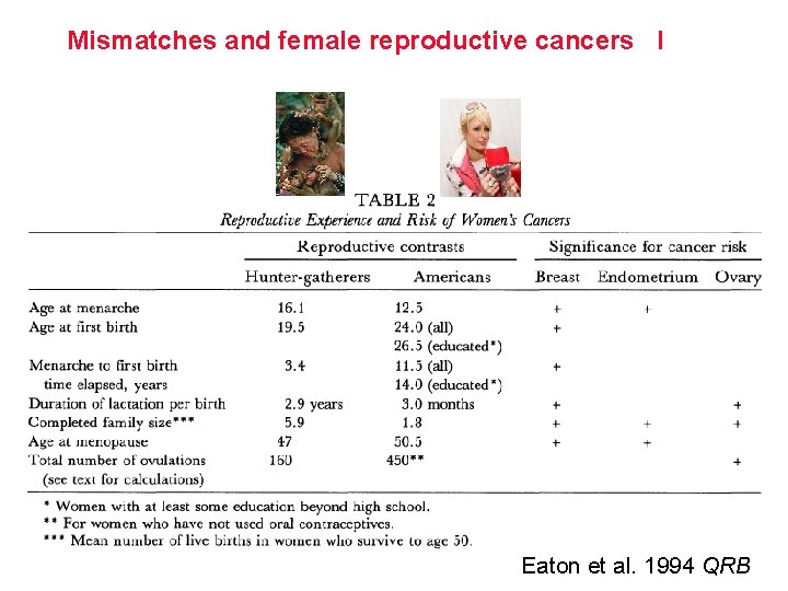 Mismatches and female reproductive cancers I Eaton et al. 1994 QRB 