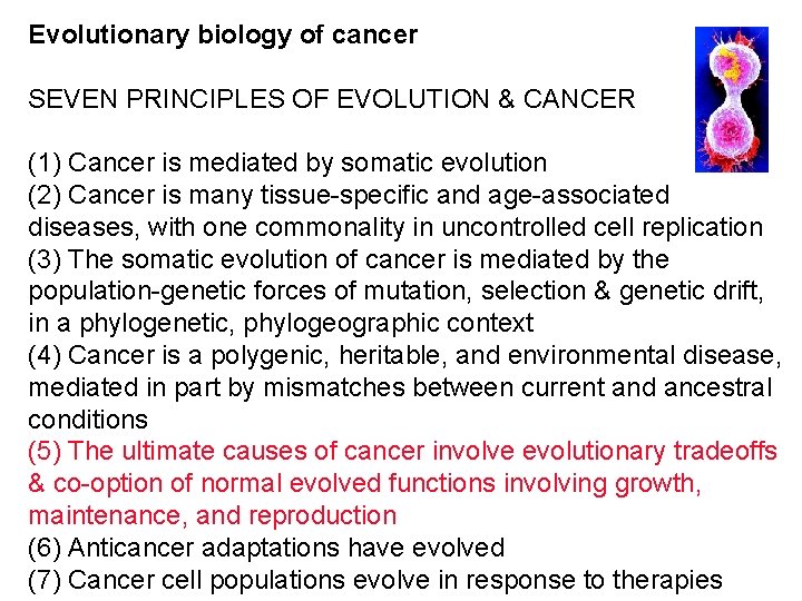 Evolutionary biology of cancer SEVEN PRINCIPLES OF EVOLUTION & CANCER (1) Cancer is mediated