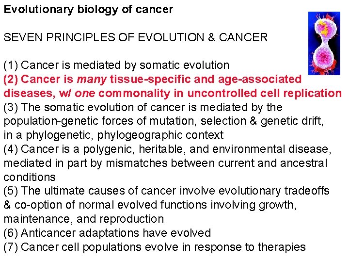 Evolutionary biology of cancer SEVEN PRINCIPLES OF EVOLUTION & CANCER (1) Cancer is mediated