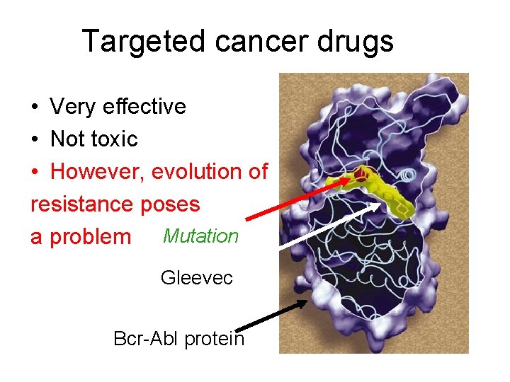 Targeted cancer drugs • Very effective • Not toxic • However, evolution of resistance