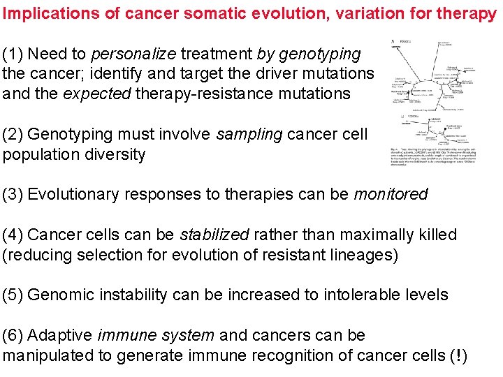 Implications of cancer somatic evolution, variation for therapy (1) Need to personalize treatment by