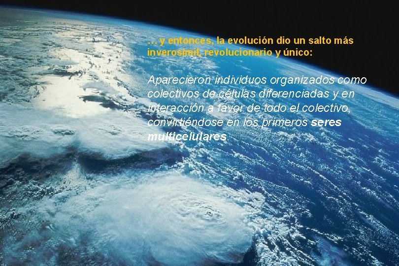 … y entonces, la evolución dio un salto más inverosímil, revolucionario y único: Aparecieron