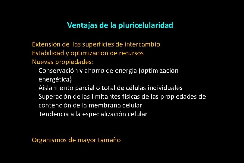 Ventajas de la pluricelularidad Extensión de las superficies de intercambio Estabilidad y optimización de