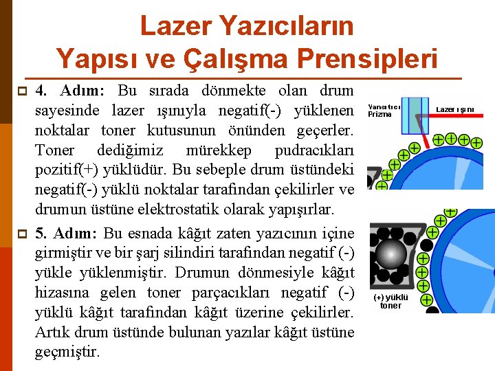 Lazer Yazıcıların Yapısı ve Çalışma Prensipleri p p 4. Adım: Bu sırada dönmekte olan