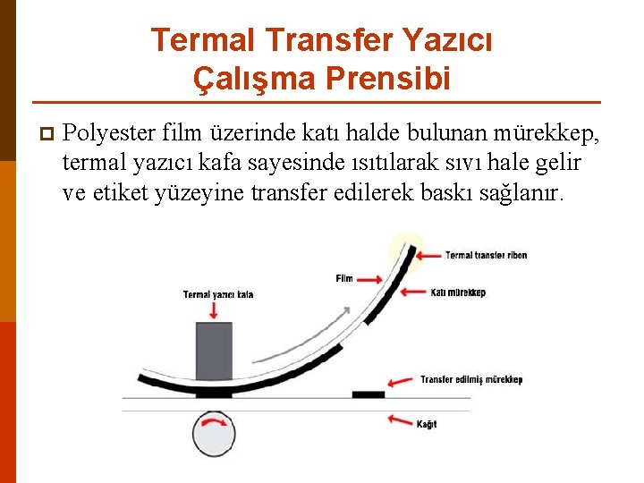 Termal Transfer Yazıcı Çalışma Prensibi p Polyester film üzerinde katı halde bulunan mürekkep, termal