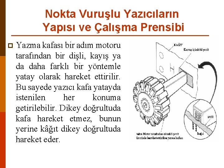 Nokta Vuruşlu Yazıcıların Yapısı ve Çalışma Prensibi p Yazma kafası bir adım motoru tarafından