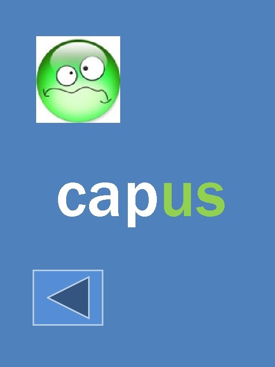 capus 